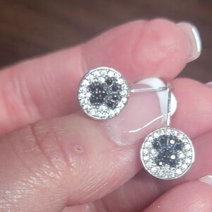 Paw Leverback cz earrings